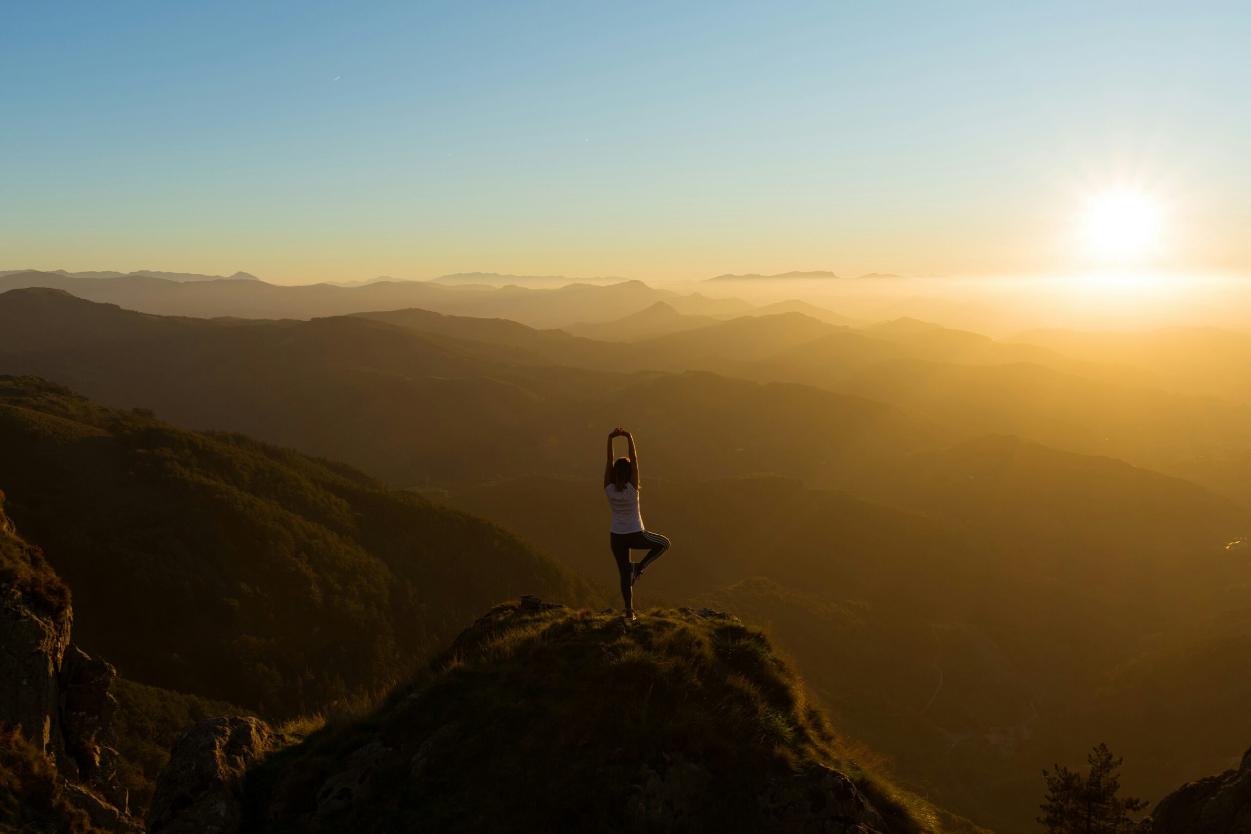 Conscious Journey